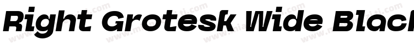 Right Grotesk Wide Black Italic字体转换